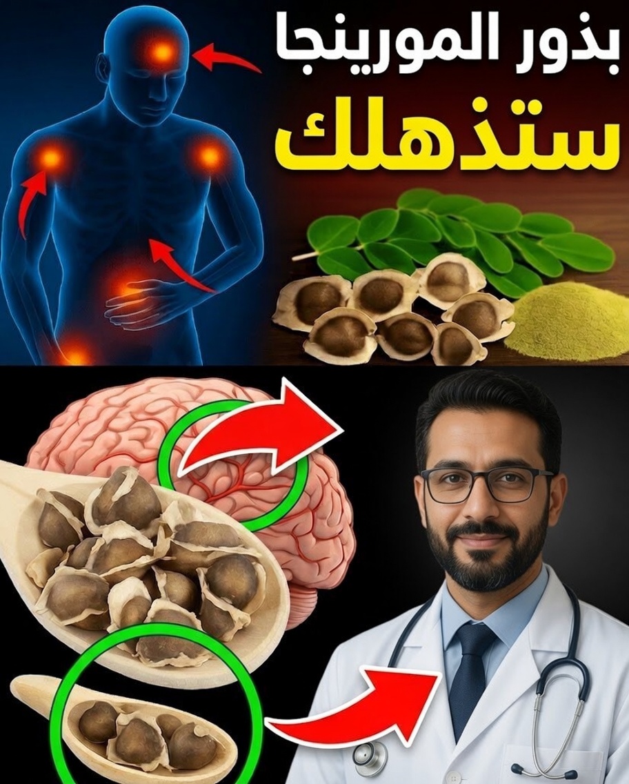 لماذا تُعد بذور المورينغا كنزًا مخفيًا لصحتك