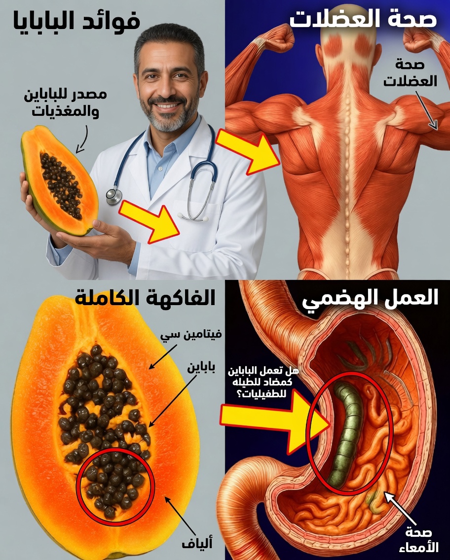 10 استخدامات مدهشة لبذور البابايا في الحياة الطبيعية