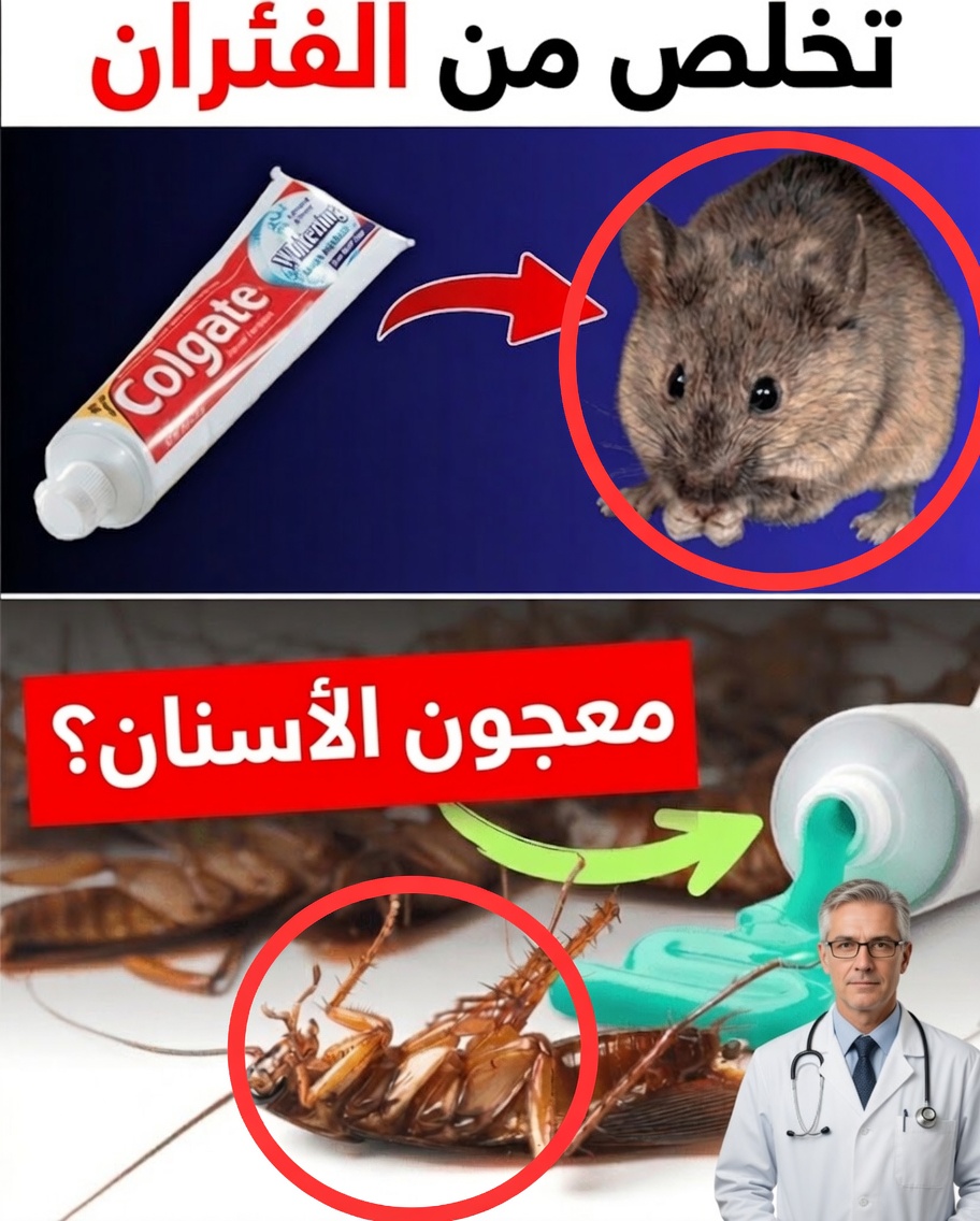 حيلة معجون الأسنان المدهشة التي تساعد على إبعاد آفات المنزل طبيعيًا