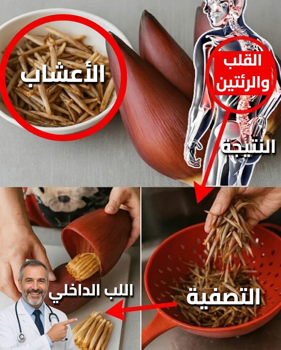 زهرة الموز: الغذاء الخارق الخفي الذي كان جسمك ينتظره