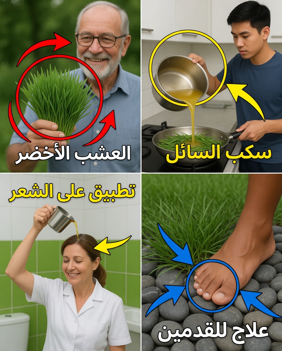 كابيم-بي-دي-غالينيا: من عشبة ضارة شائعة إلى كنز طبيعي للشفاء