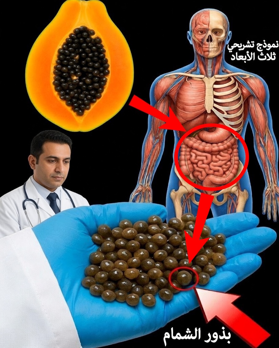 لماذا تُعدّ بذور البابايا الغذاءَ الخارق المنسي الذي قد يفيد صحتك ومحفظتك