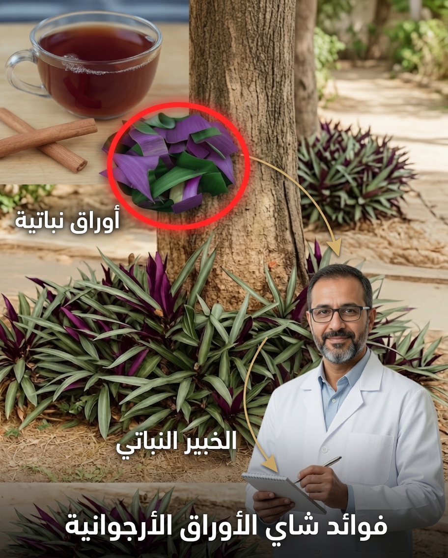 لماذا يجذب نبات الماغوي الأرجواني الانتباه كعلاج طبيعي