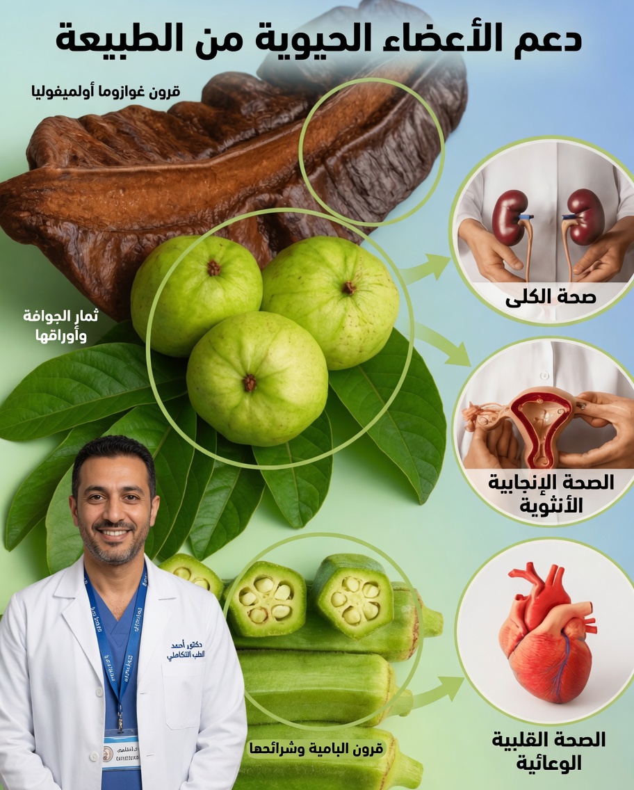 جواهر الطبيعة الخفية للإباضة: أوراق الجوافة، فاكهة الأيدان، والبامية