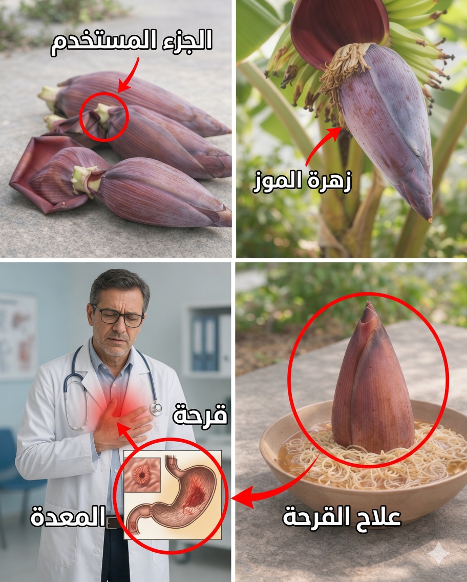 7 فوائد مدهشة لزهرة الموز للصحة يجب أن تعرفها